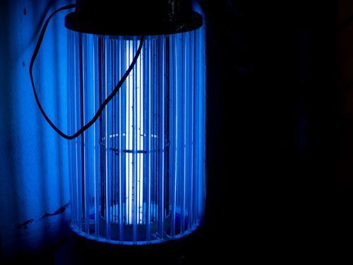 điện năng tiêu thụ của đèn bắt muỗi