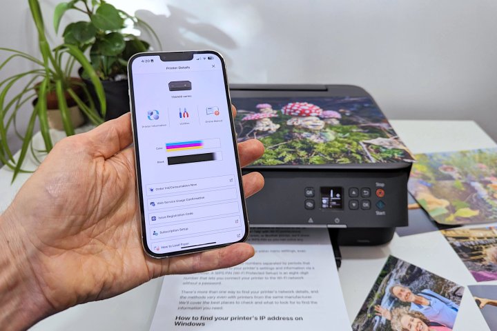 Alan Truly kiểm tra mức mực trên Pixma TS6420a.