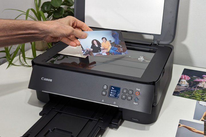 Alan Truly scan một số bức ảnh bằng Pixma TS6420a.
